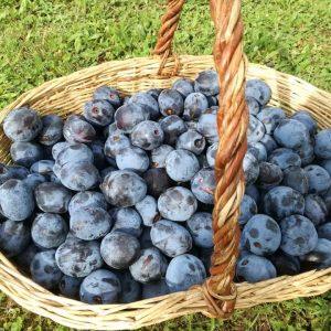 Gardus slyvų padažas žiemai: puikiai dera su mėsos patiekalais!
