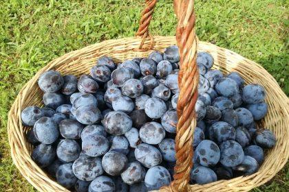 Gardus slyvų padažas žiemai: puikiai dera su mėsos patiekalais!