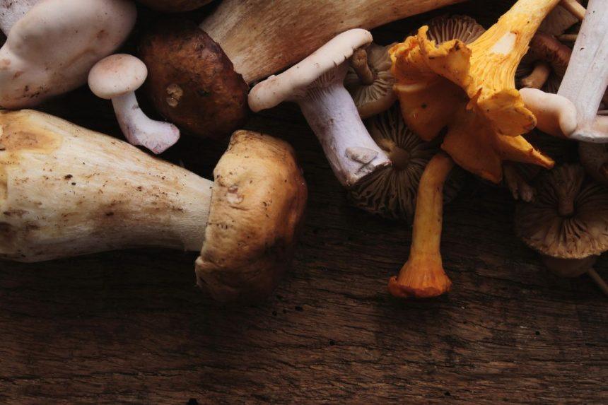 Grybų valymas per kelias sekundes: paprastas triukas, kurį turi žinoti kiekviena šeimininkė