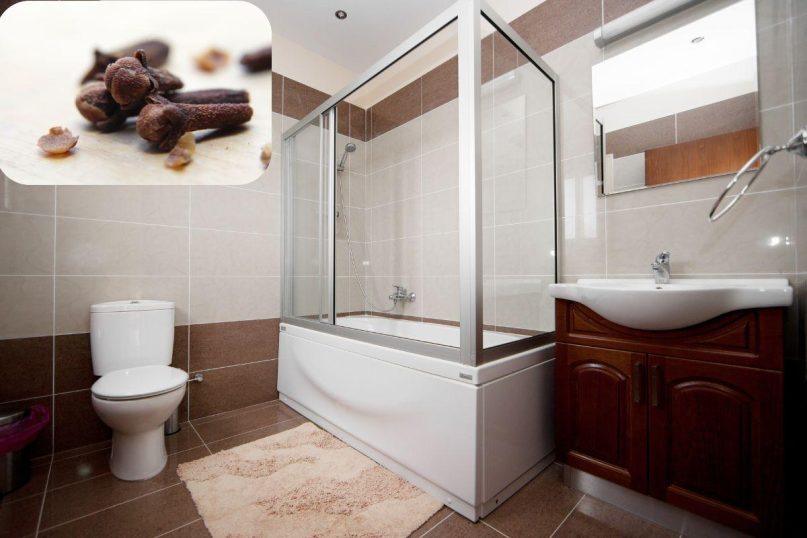 Gvazdikėliai – ne tik prieskonis: netikėti būdai, kaip jie gali padėti namuose ir sveikatai