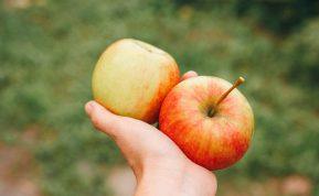 Gydytoja įvardino sveikus maisto produktus, kurie slopina alkio jausmą