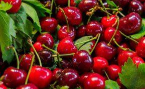 Gydytoja perspėjo apie pavojus, kylančius persivalgius vyšnių