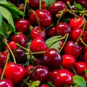 Gydytoja perspėjo apie pavojus, kylančius persivalgius vyšnių