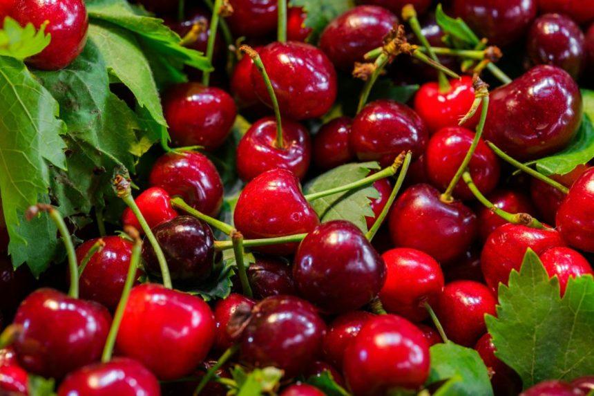 Gydytoja perspėjo apie pavojus, kylančius persivalgius vyšnių