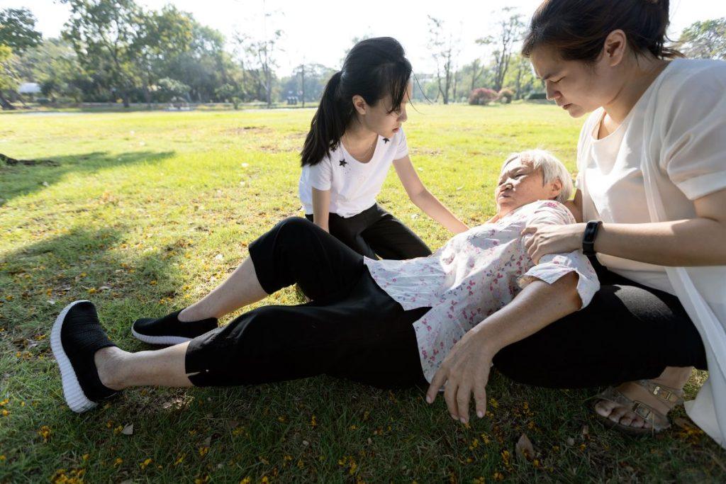 Kaip rudenį apsaugoti obelis: atlikite genėjimą