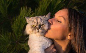 Ką apie mus sako mūsų meilė katėms? Netikėtas atsakymas