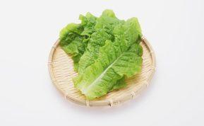 Ką daryti, jei šviežių salotų lapai prarado savo šviežumą: neskubėkite jų išmesti