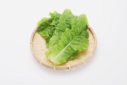 Ką daryti, jei šviežių salotų lapai prarado savo šviežumą: neskubėkite jų išmesti