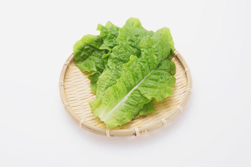 Ką daryti, jei šviežių salotų lapai prarado savo šviežumą: neskubėkite jų išmesti