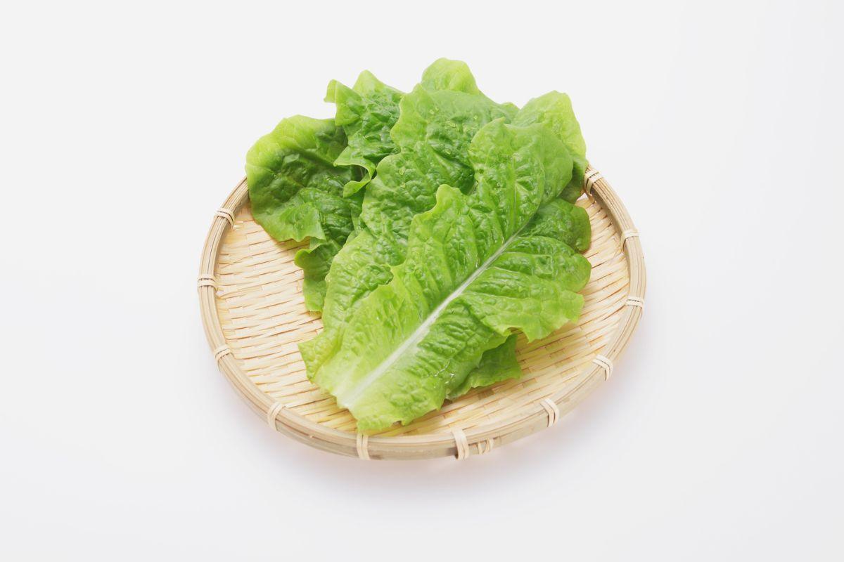 Ką daryti, jei šviežių salotų lapai prarado savo šviežumą: neskubėkite jų išmesti