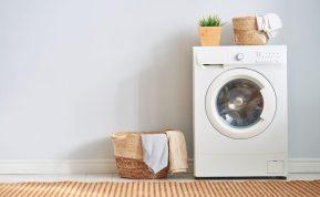 Kai iš skalbimo mašinos pradeda sklisti blogas kvapas, iškart pagalvoju apie citriną