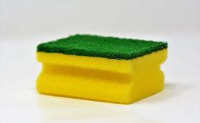 Kaimynė man patarė į šaldytuvą įdėti indų kempinėlę