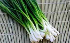 Kaip greitai išauginti svogūnų laiškus ant palangės?