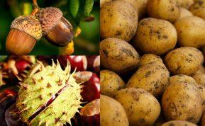 Kaip išsaugoti bulves iki pavasario: paprastas triukas su kaštonais ir gilėmis