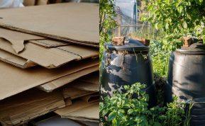 Kartoną suplėšau ir metu į kompostą – štai kas nutinka po 6 mėnesių