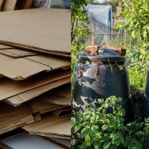 Kartoną suplėšau ir metu į kompostą – štai kas nutinka po 6 mėnesių