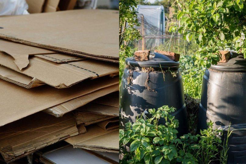 Kartoną suplėšau ir metu į kompostą – štai kas nutinka po 6 mėnesių