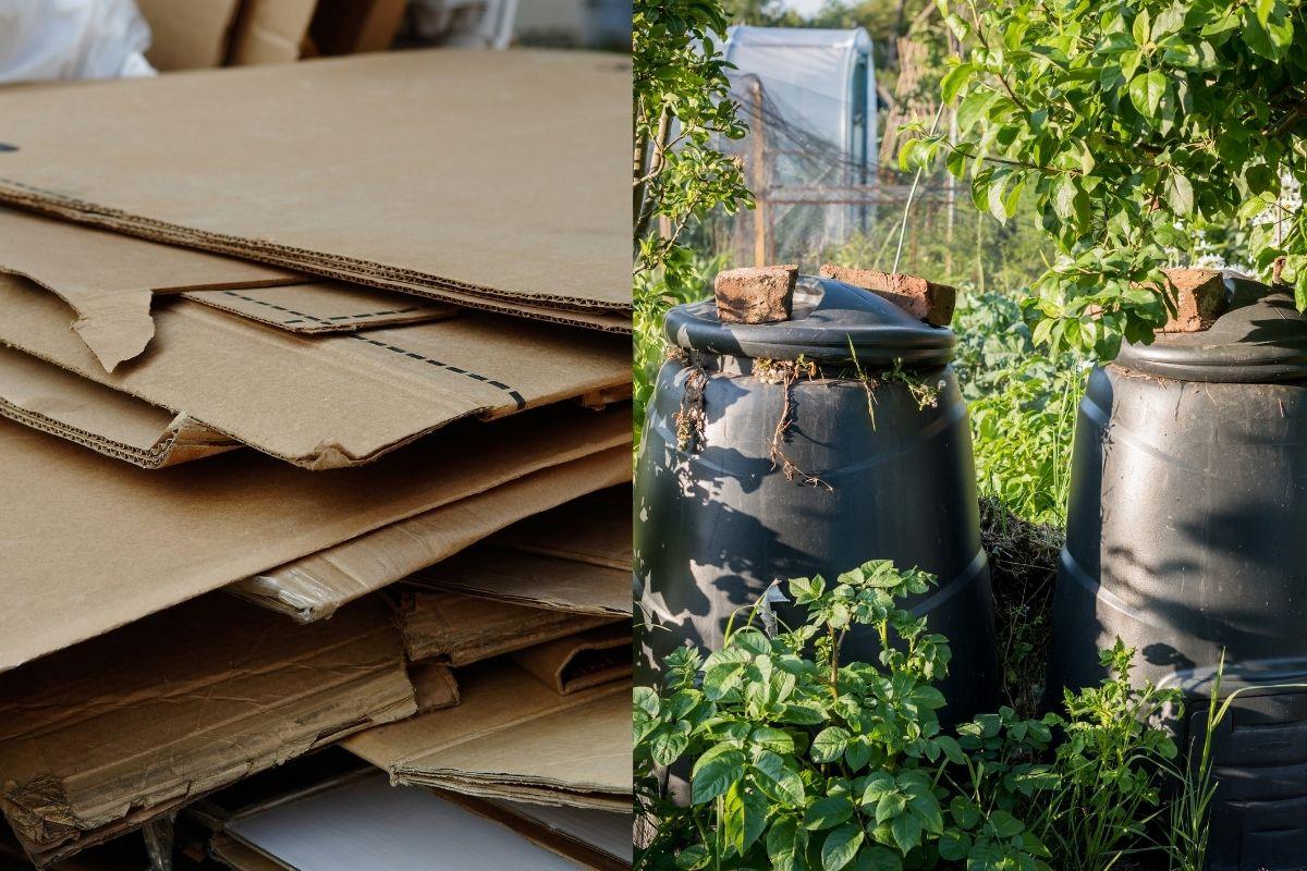 Kartoną suplėšau ir metu į kompostą – štai kas nutinka po 6 mėnesių