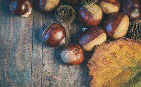 Kaštonų milteliai: itin veiksmingas ir natūralus skalbiklis