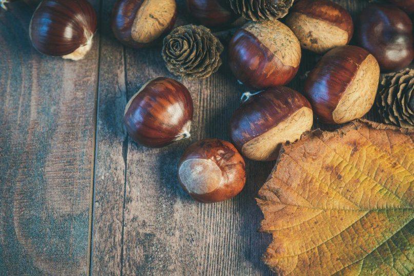 Kaštonų milteliai: itin veiksmingas ir natūralus skalbiklis