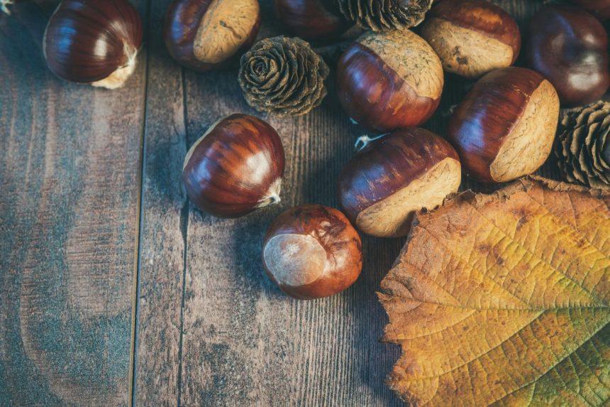 Kaštonų milteliai: itin veiksmingas ir natūralus skalbiklis