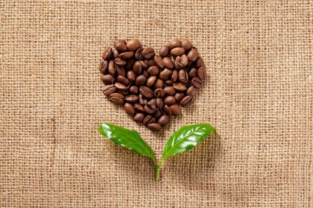 Keletas gudrybių, kad šaldytuve visada vyrautų malonus kvapas. Kavos pupelės