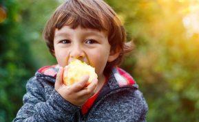 Kodėl ryte obuolys gerai, o vakare - blogai? Atskleidė priežastis