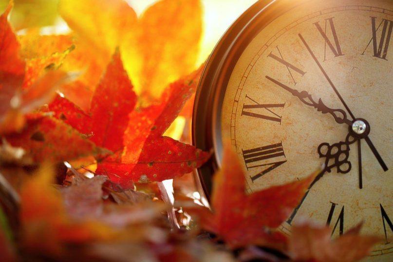 Kodėl su amžiumi laikas bėga greičiau: mokslininkų paaiškinimas