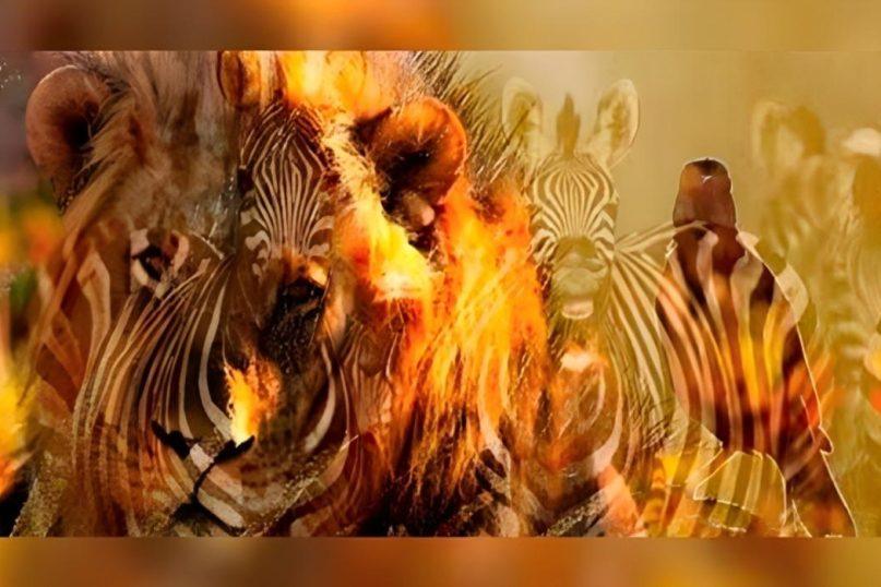 Kokį gyvūną pamatėte pirmiausia? Tai gali daug pasakyti apie jus. Nuotraukos šaltinis: depor.com