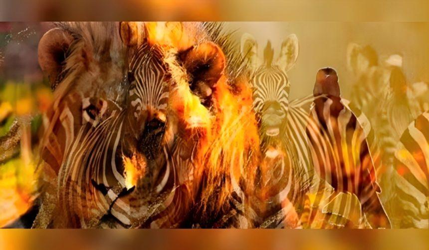 Kokį gyvūną pamatėte pirmiausia? Tai gali daug pasakyti apie jus. Nuotraukos šaltinis: depor.com