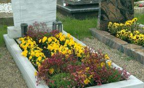 Kokias gėles sodinti kapinėse spalio mėnesį? Žiedai laikysis iki šalčių