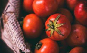 Kokius pomidorus rinktis parduotuvėje, kad jie ilgiau išliktų švieži