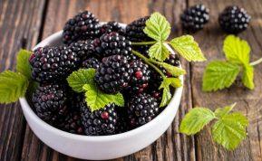 Kuriems žmonėms derėtų valgyti gervuoges, o kuriems - ne?