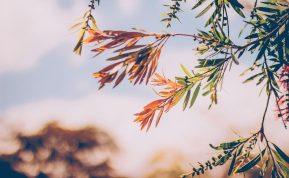 Kurios lapkričio dienos bus pačios stipriausios energetiškai?