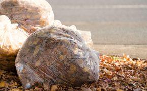 Lapų kompostas per kelis mėnesius: paprastas būdas