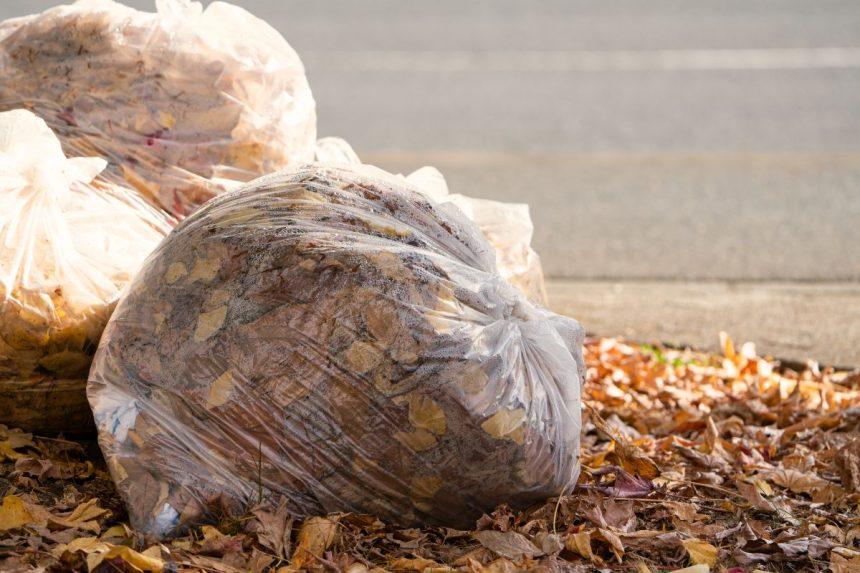 Lapų kompostas per kelis mėnesius: paprastas būdas