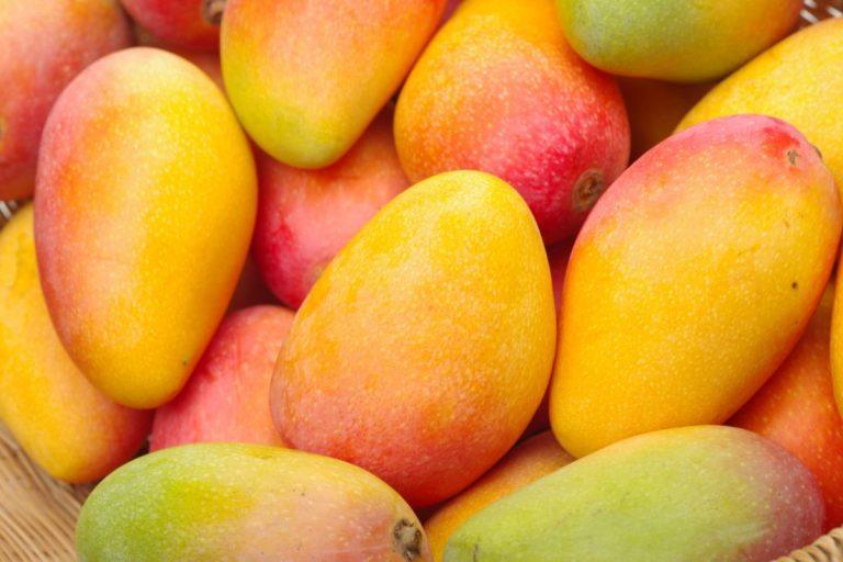 Mangų tyrimas – poveikis gliukozės kontrolei