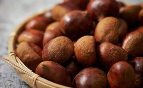 Močiutė man atskleidė paslaptį apie kaštonus: prisirinkite jų pakankamai!