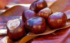 Moteris atskleidė, kaip skalbti drabužius kaštonais.