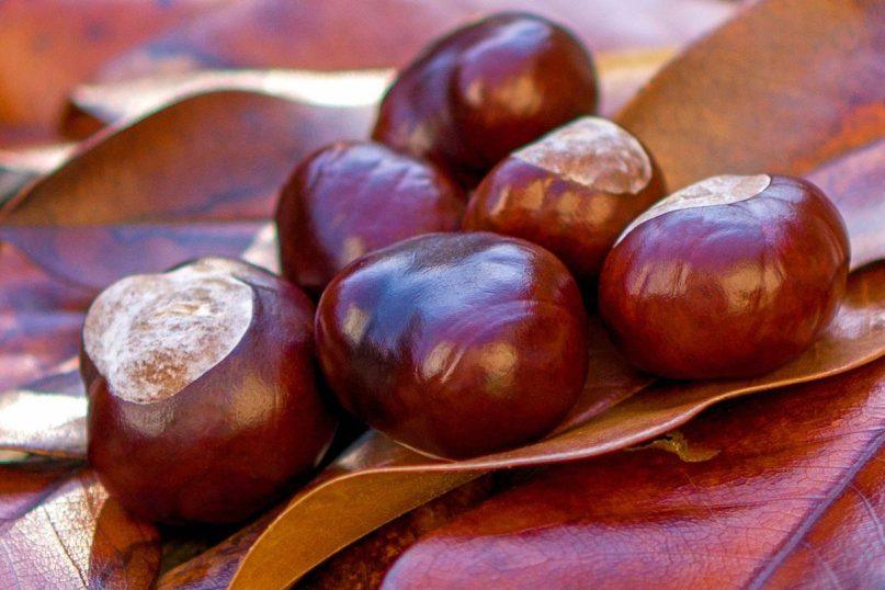 Moteris atskleidė, kaip skalbti drabužius kaštonais.