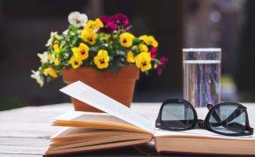 Našlaitės miegamajame – mitai ir tiesa: ar šie augalai iš tiesų kenkia?