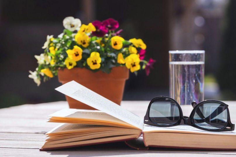 Našlaitės miegamajame – mitai ir tiesa: ar šie augalai iš tiesų kenkia?