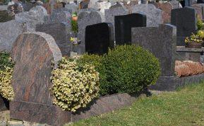 Naudingi patarimai kaip tinkamai prižiūrėti marmuro ir smiltainio paminklus prieš Vėlines