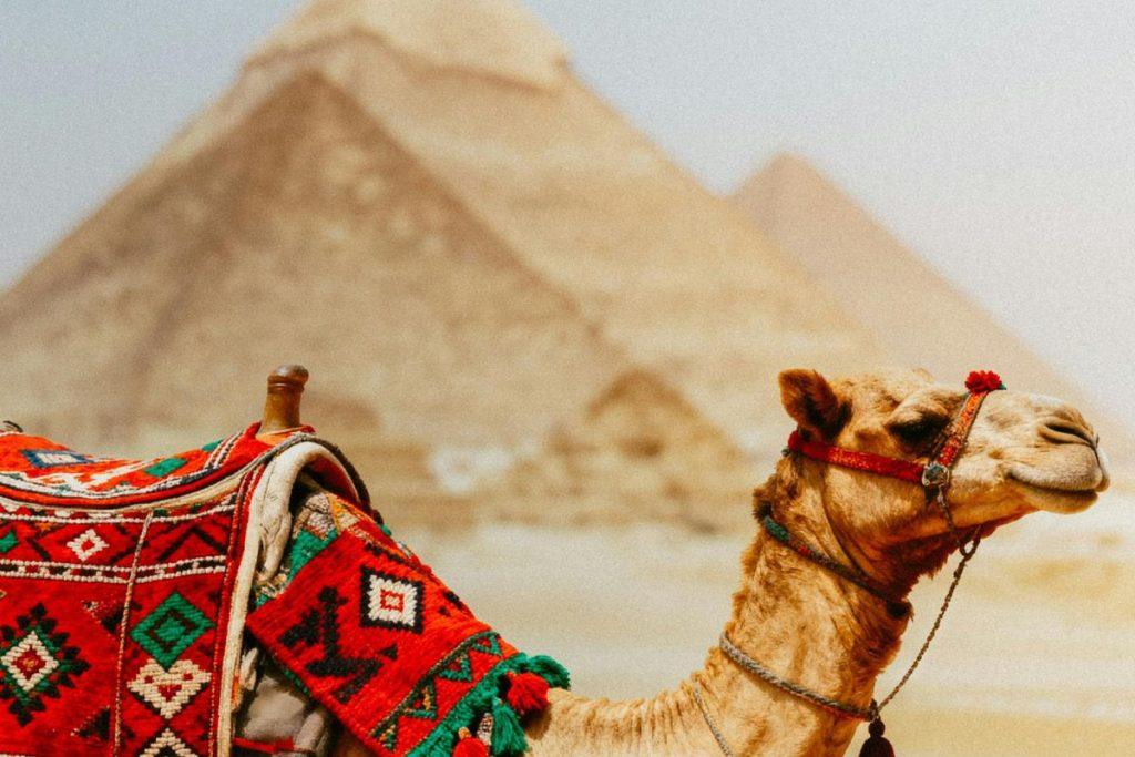 Neįprasčiausios vestuvių tradicijos pasaulyje. Egipto vestuvių tradicijos