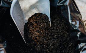 Neturite komposto dėžės? Kompostuokite maiše! Paprastas ir naudingas metodas