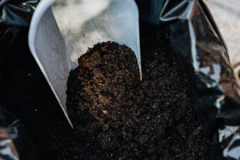 Neturite komposto dėžės? Kompostuokite maiše! Paprastas ir naudingas metodas