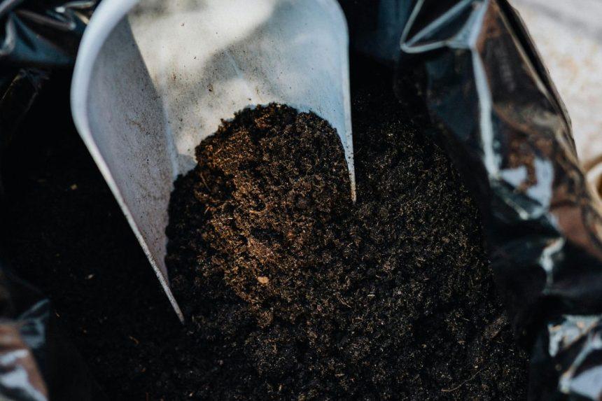 Neturite komposto dėžės? Kompostuokite maiše! Paprastas ir naudingas metodas