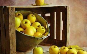 Obuolių laikymas žiemai: kuo apibarstyti, kad obuoliai išliktų švieži iki 7 mėnesių