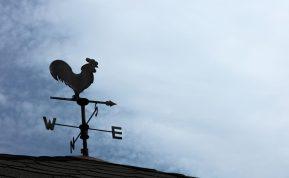 Orų prognozė Visų Šventųjų savaitgaliui: sinoptikė pataria būti pasiruošusiems