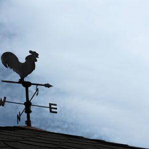 Orų prognozė Visų Šventųjų savaitgaliui: sinoptikė pataria būti pasiruošusiems